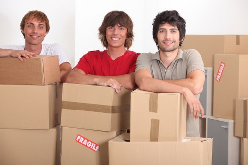 Business terms and legal conditions for a removal service